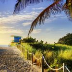 More Reasons Why South Florida is a Top Commercial Real Estate Market